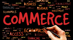 2. Commerce Stream