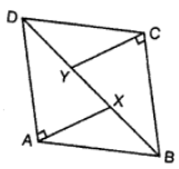 In the figure, ABCD is a parallelogram in which angles A and C are obtuse. Points X and Y are taken on the diagonal BD such that the angles XAD and YCB are at right angles. Prove that XA = YC. 