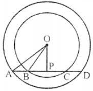 In the given figure, AD is a straight line. OP ∠AD and O is the centre of both circles. If OA = 20 cm, OB = 15 cm and OP = 12 cm, what is AB equal to?