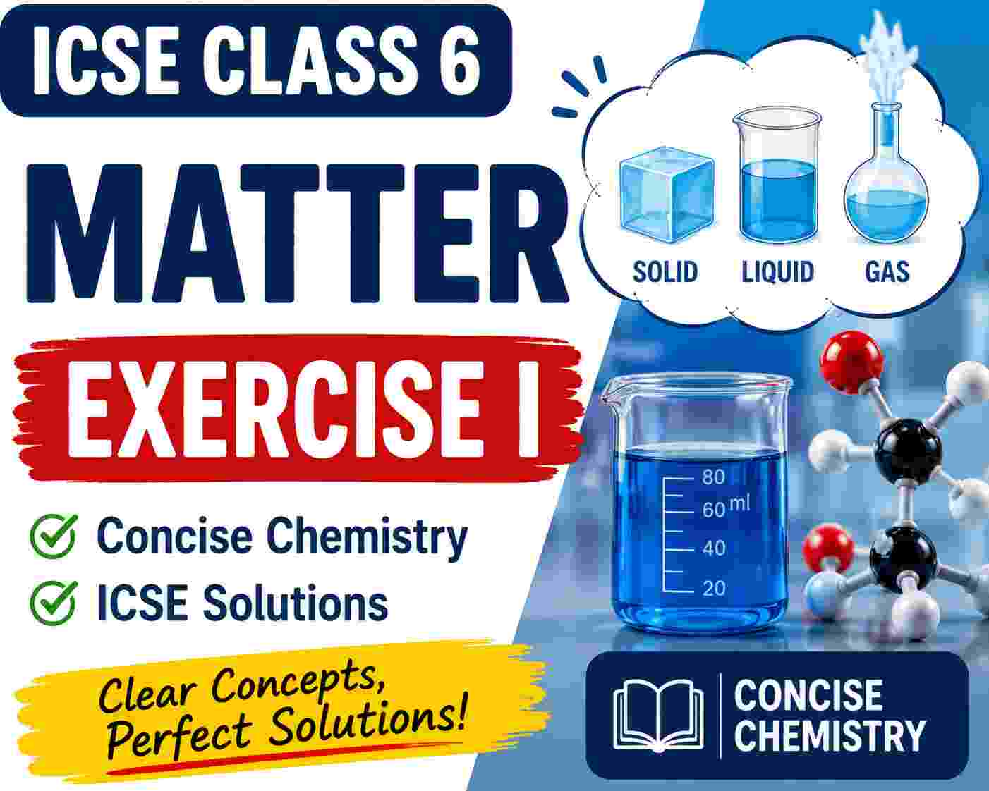 Exercise I on Matter Class 6 Concise Chemistry ICSE Solutions