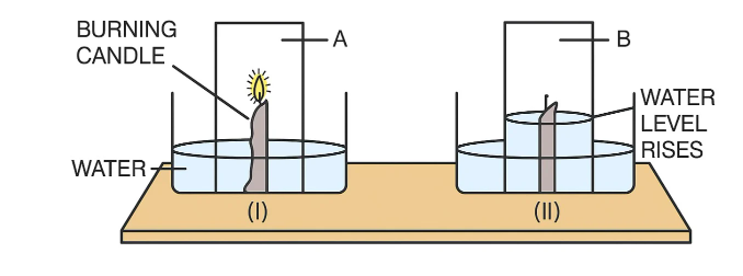 In an experiment done with a burning candle, the apparatus was set up as shown below. Initially, the candle burns but after sometime it gets extinguished. Look at the diagram and answer the questions given below. (i) Label A and B. (ii) Why does the candle burn in (I) but gets extinguished in (II) ? (iii) Why does the water level rise after sometime ? (iv) What conclusion is drawn by the experiment show above ?