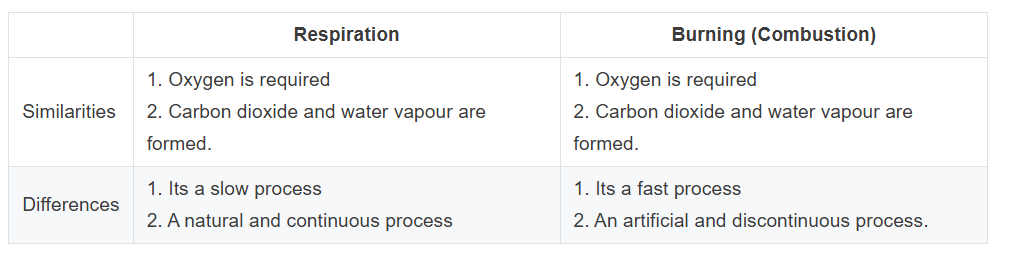 State two similarities and two differences between respiration and burning.